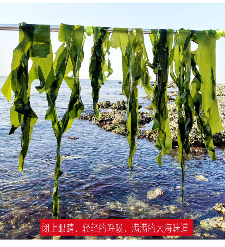 裙带菜干货小叶海带芽嫩新鲜牙苗非无脂肪海带裙群带菜海裙菜10袋装