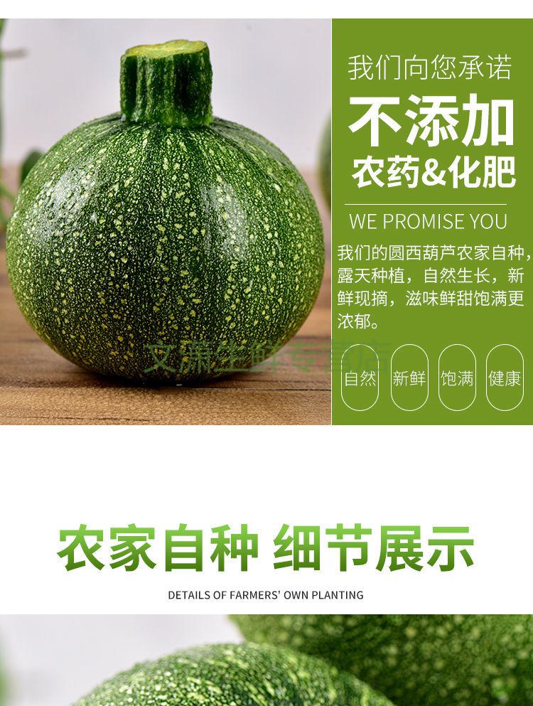 圆西葫芦新鲜蔬菜圆小瓜当季蔬菜三月瓜农家自种现