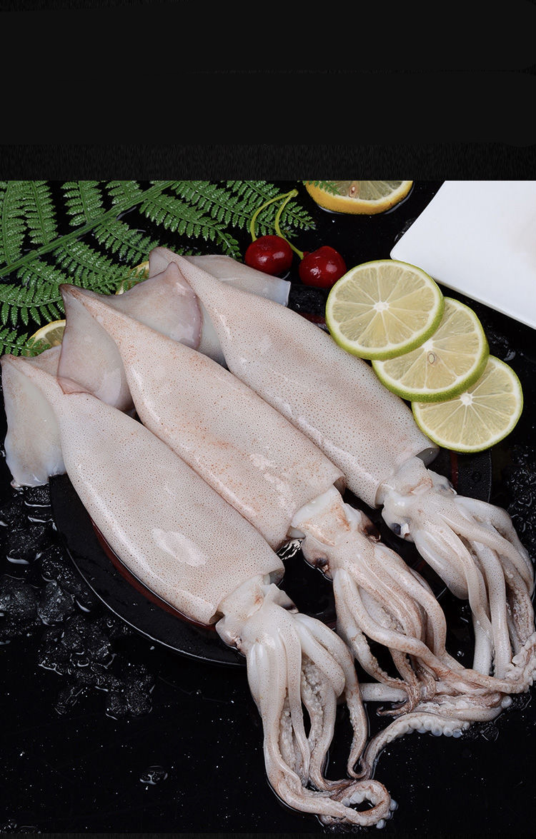 棠鲜生大鱿鱼新鲜大鱿鱼冻鱿鱼片整只八爪海鲜烧烤约1斤装