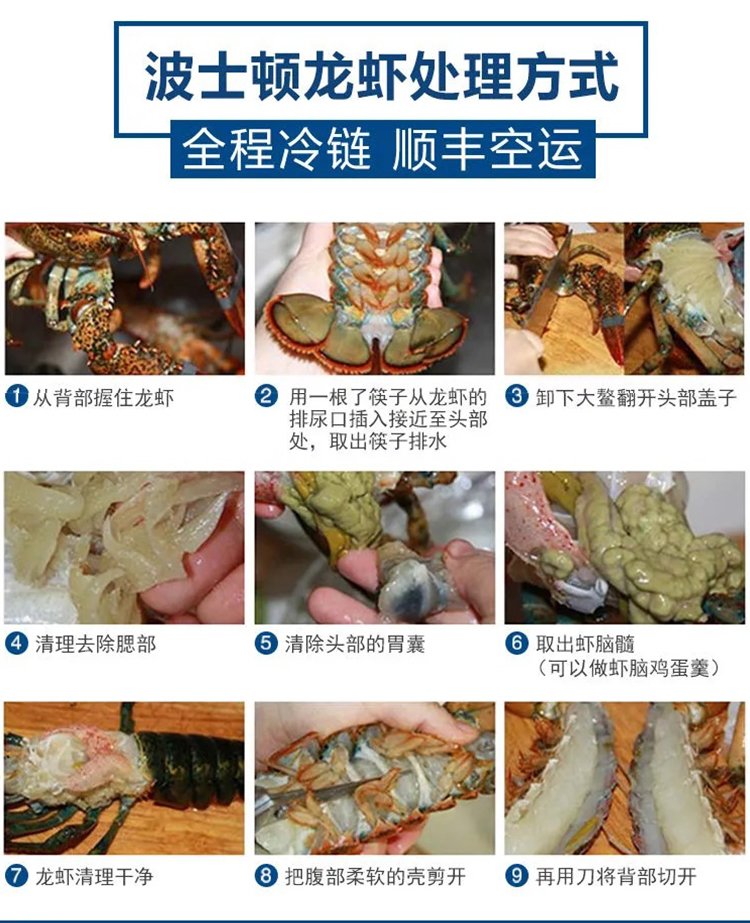 波士顿龙虾特大15斤波龙海鲜鲜活冷冻大龙虾5斤顺丰空运2750g