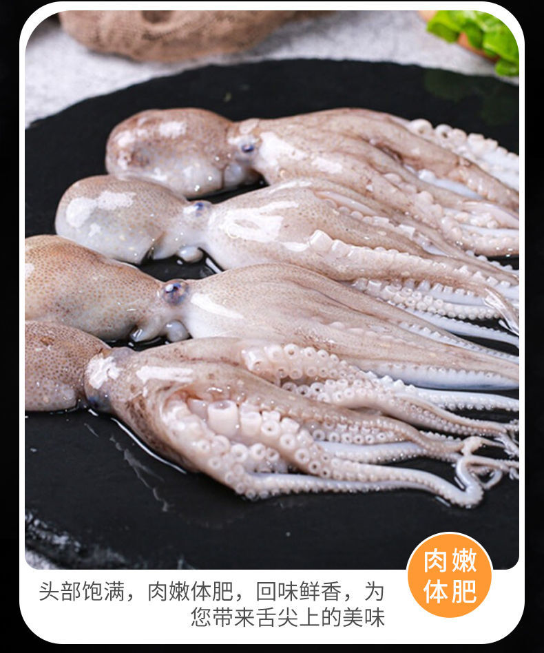 鲜冻八爪鱼13斤长腿大八爪海鲜鲜活八爪鱼小章鱼大爆头章鱼一斤每斤34