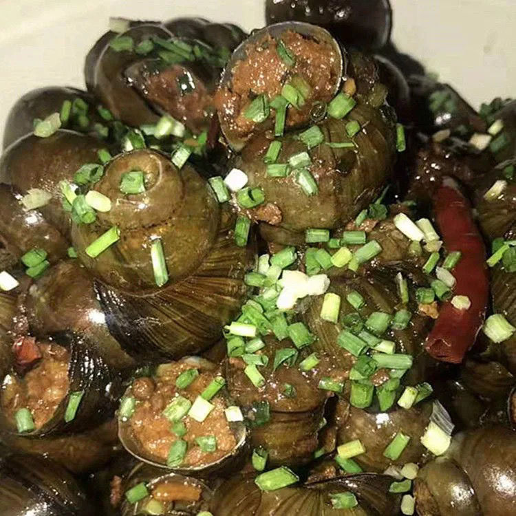 驰鸣田螺塞肉大螺丝冷冻海鲜半成品鲜冻水产品酒店特色创新菜肴2包约