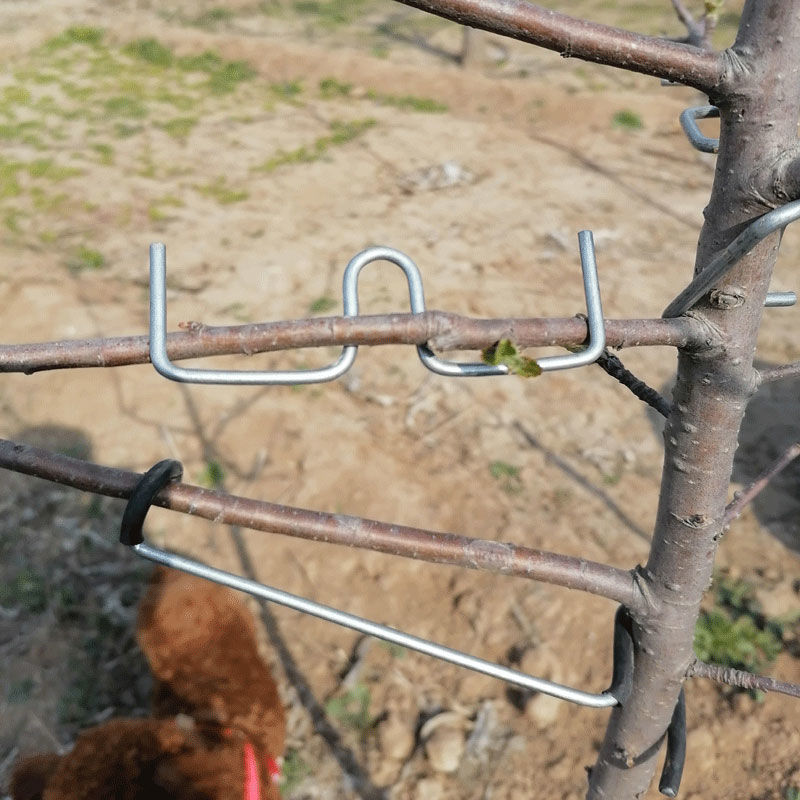 拉枝神器果木柑橘弯枝别枝器苹果树开角樱桃支撑固定拉枝定型器果树