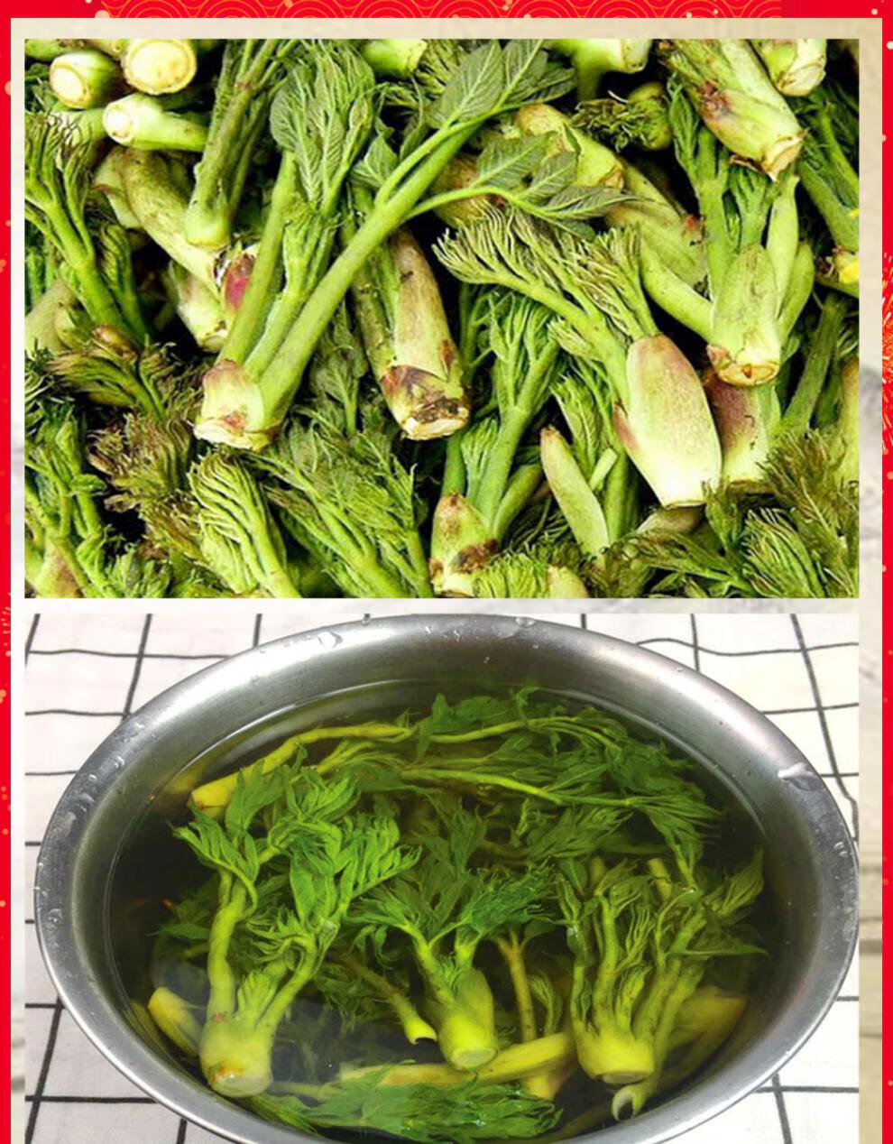 刺嫩芽【新鲜速冻1/2斤】东北辽宁特产山野菜新鲜速冻刺嫩芽野生山菜