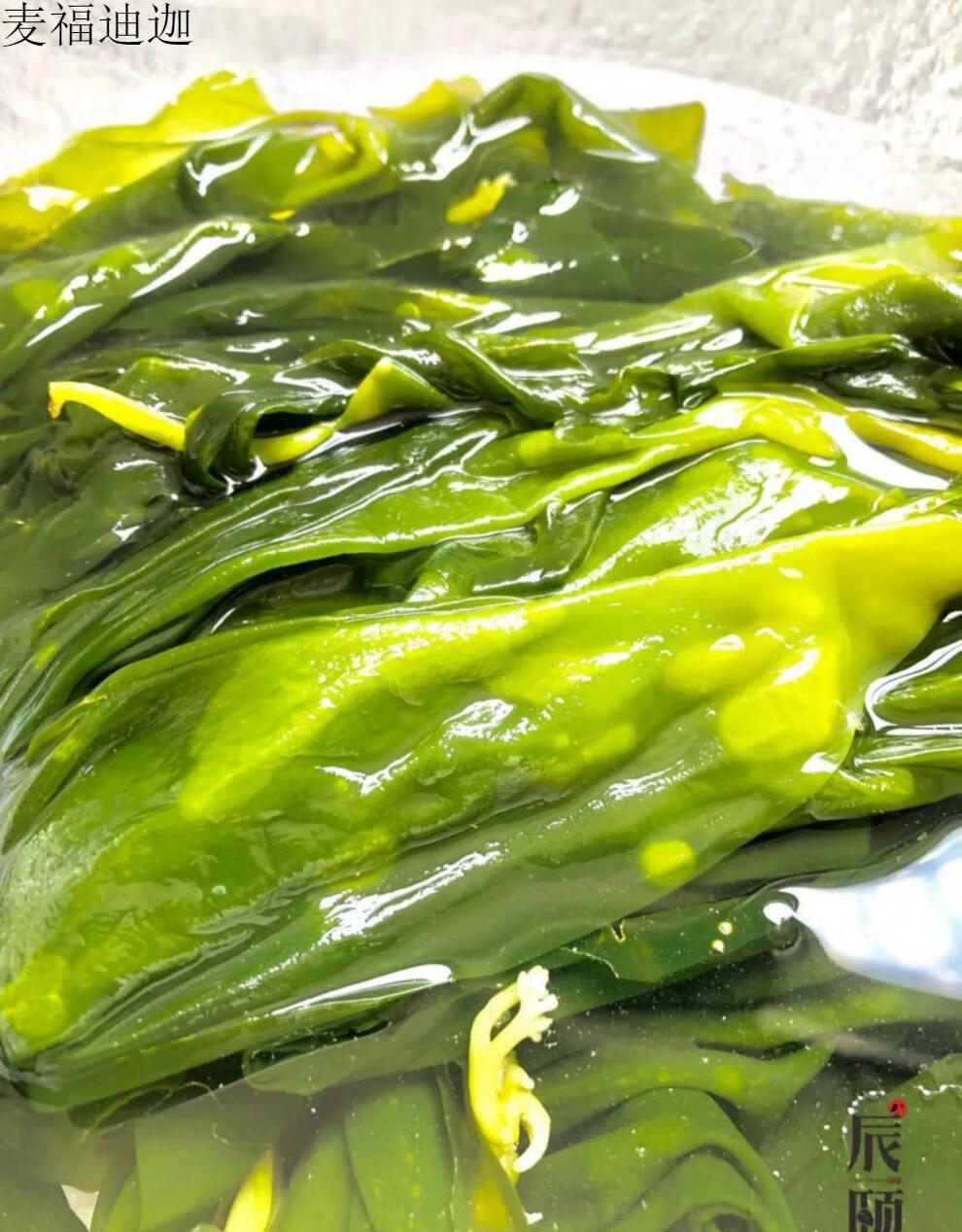 海带苗嫩芽新鲜霞浦特产特级盐渍水产小海带苗3斤裙带菜1500g3斤共3袋