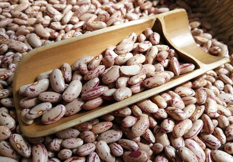 新豆东北花饭豆新鲜奶花芸豆农家自产白芸豆干腰豆四季豆2斤5斤黑花