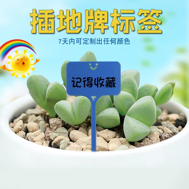 植物标签园艺t型多肉标签植物名字地牌记录花卉标识牌插地牌 100片深