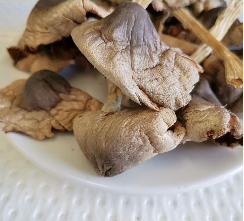云南野生鸡枞菌100g袋鸡枞菌干货云南特产新货烘干鸡纵火把菇煲汤好吃