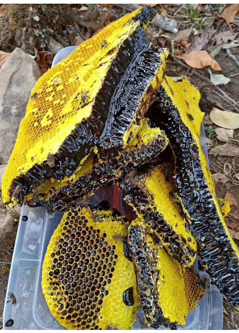 云南高原黑蜂蜜天然土蜂蜜黑蜜米团花蜜500g百花蜜巢蜜 带巢黑蜜