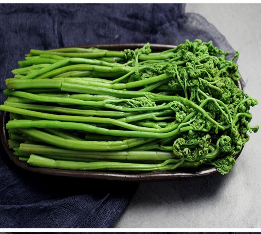 東北特產東北特產山蕨菜新鮮山野菜袋裝保鮮750g涼拌炒菜蕨菜東北蕨菜