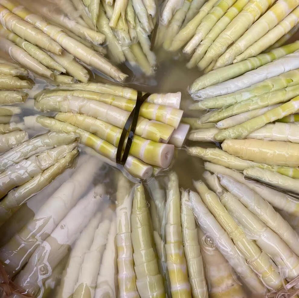 去皮苦笋广西新鲜春笋山竹笋雷笋竹笋酿冬笋新鲜苦笋清水苦笋2斤装