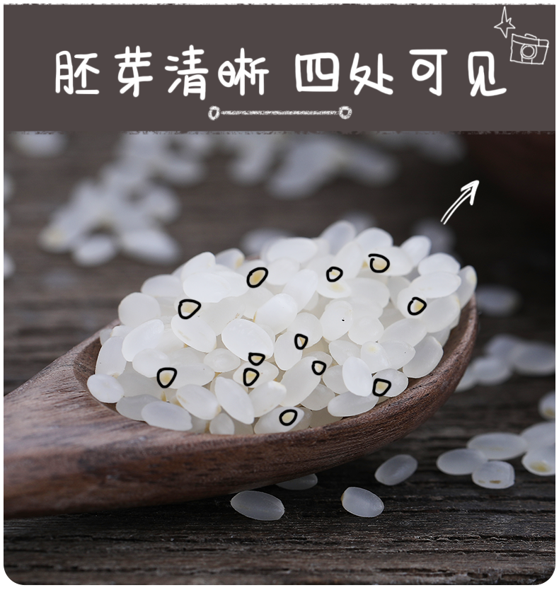 胚芽米5斤辅食东北大米杂粮25kg秋田小町10千克