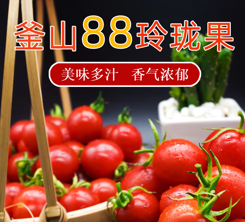 釜山88号千禧圣女果 小玲珑番茄 新鲜迷你小西红柿 健康轻食西红柿
