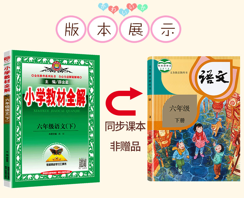 小学教材全解六年级语文下册人教版rj部编版6年级下册语文课本书同步