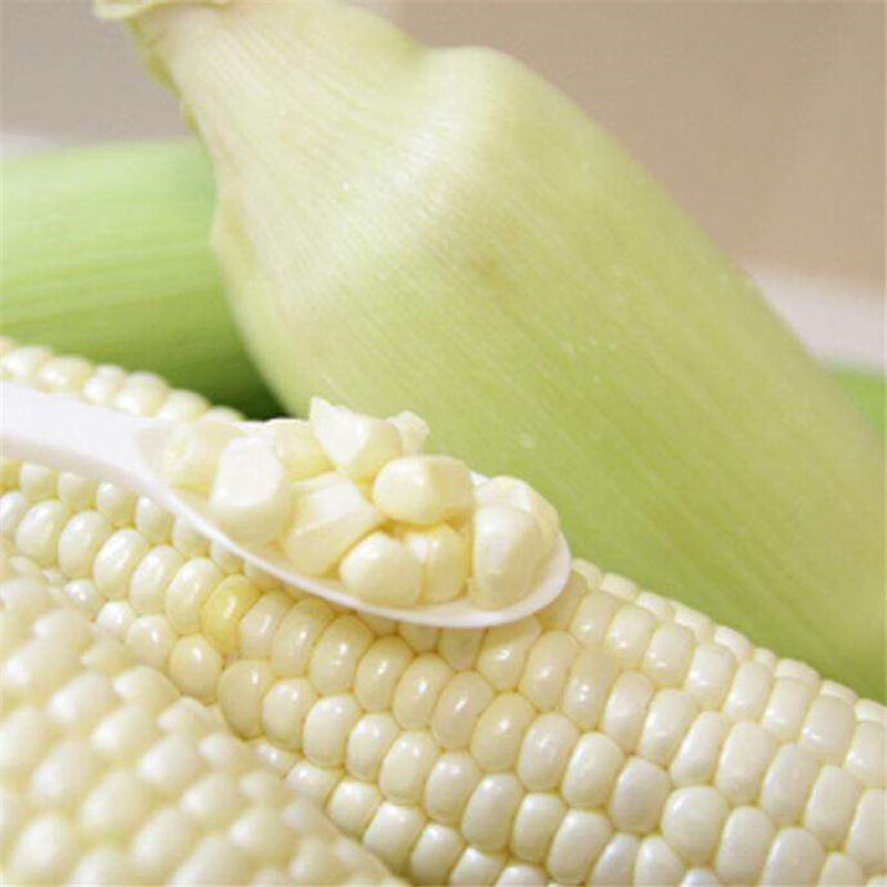 玉米种子超甜水果玉米白糯黑糯玉米奶糖味种高产春夏四季大田农业 彩