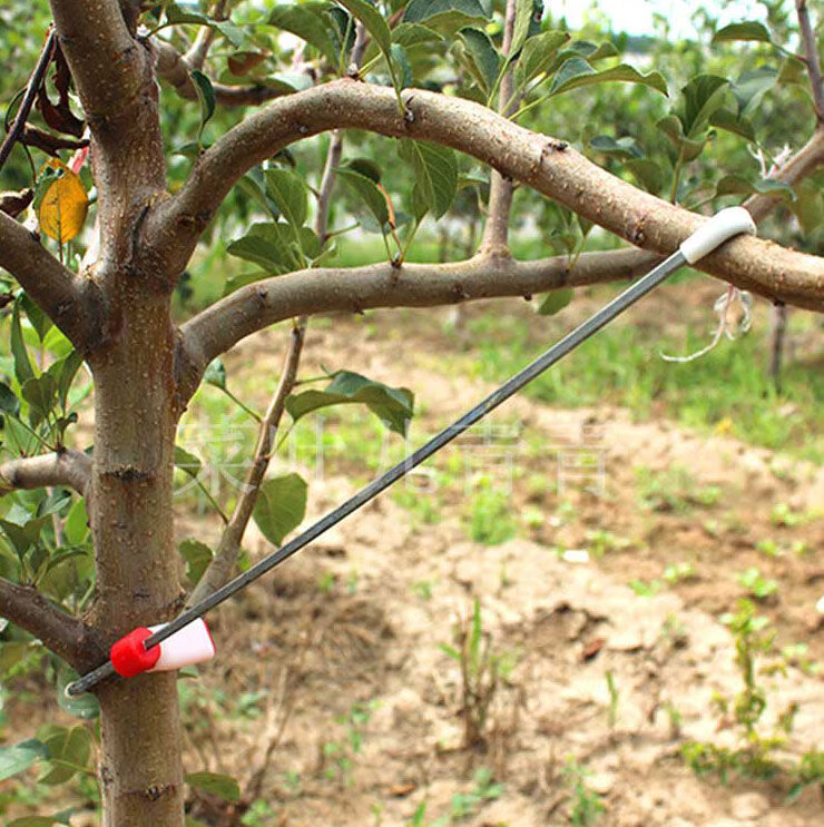 拉枝神器果木柑橘弯枝别枝器苹果树开角樱桃支撑固定拉枝定型器果树