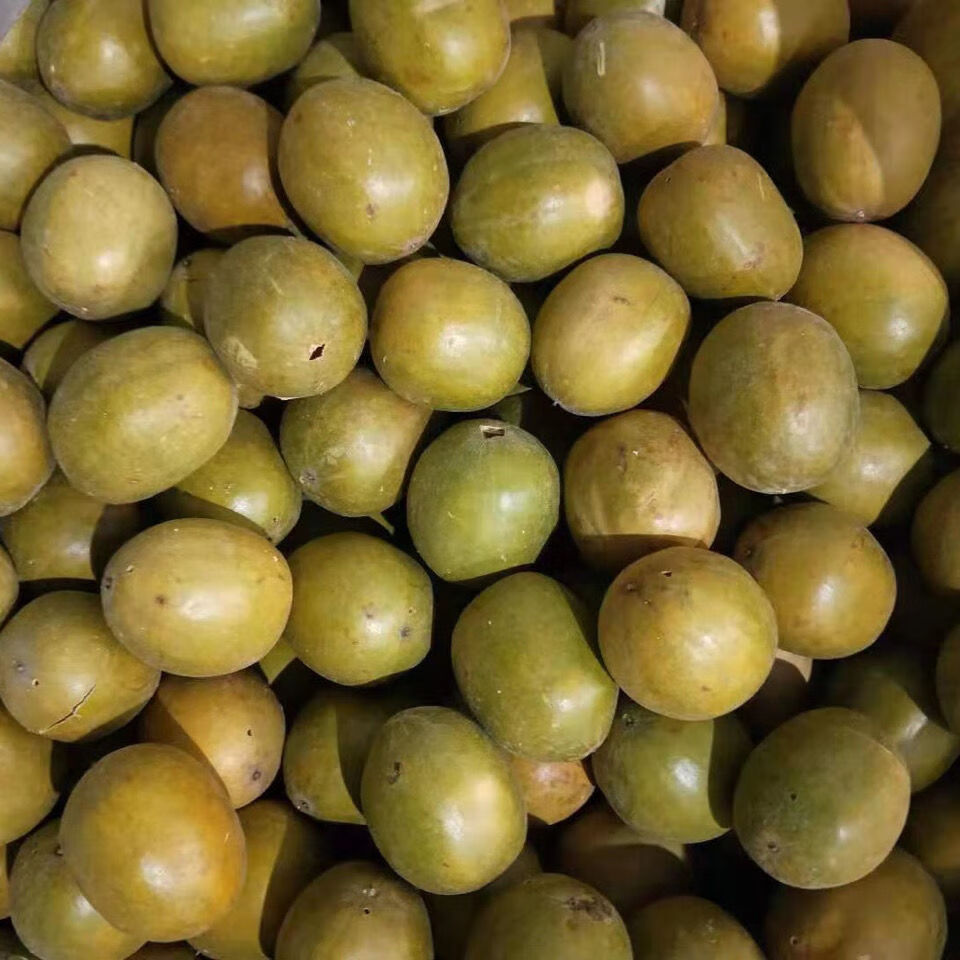 40个黄金罗汉果干果广西桂林特产永福低温脱水罗汉果茶小包装泡茶40个