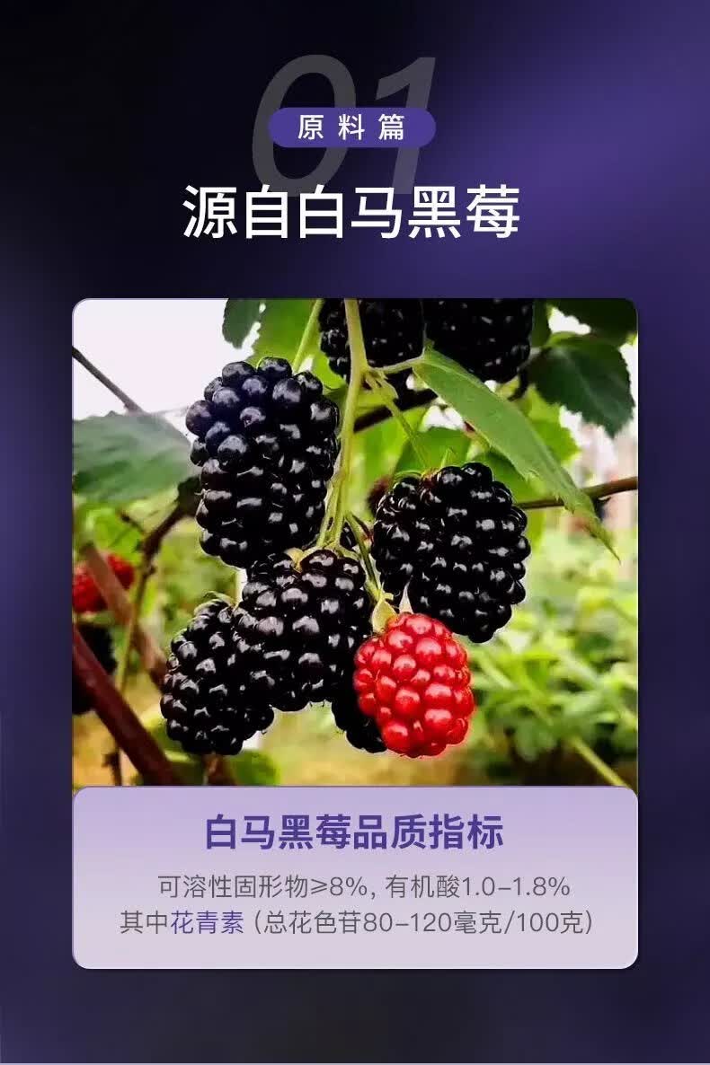 黑莓汁黑莓原液黑莓原浆零添加买五盒送一盒 三瓶试喝装【图片 价格