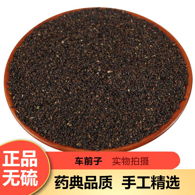 中药材大别山野生车前子500g车前草籽车前子茶车前籽500g