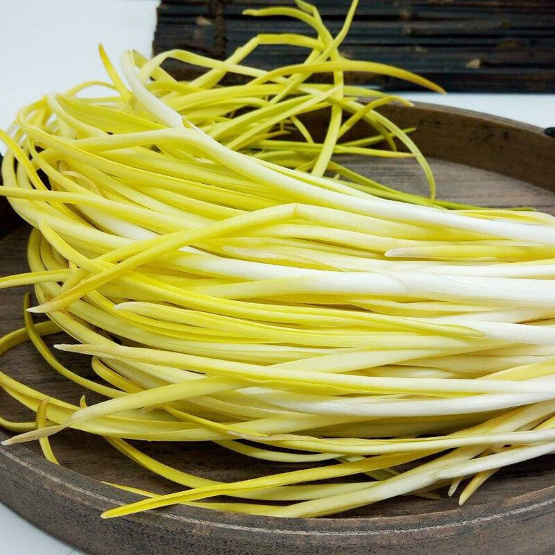 耐寒韭菜种籽富韭黄韭菜籽四季宽叶韭菜黄大田基地专用品种冬圣九号