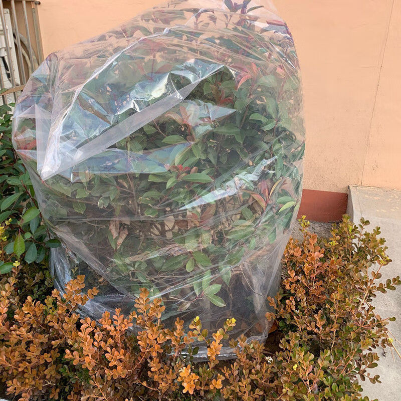 其六绿植物防冻保温袋塑料膜花卉盆栽过冬保护罩树木防寒布防尘袋透明