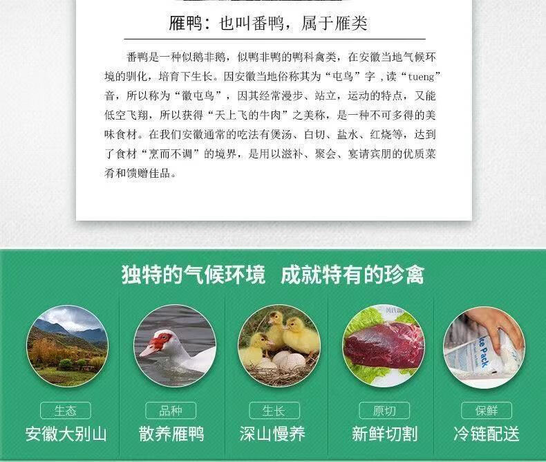 番鸭的功能和作用图片