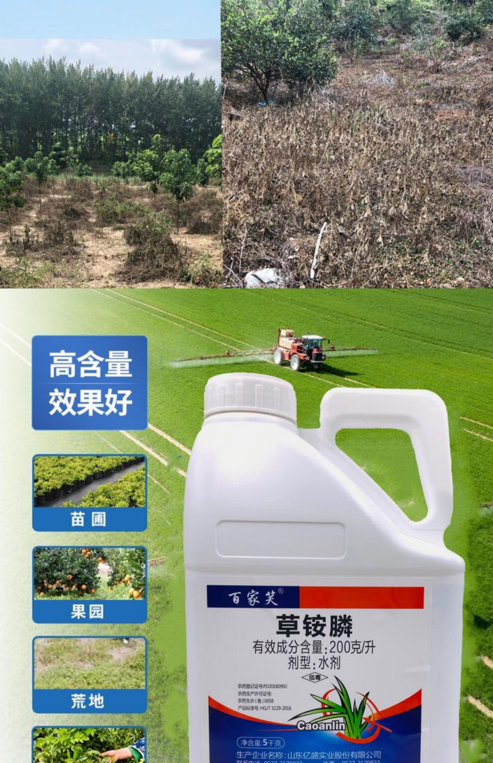 草铵膦除草剂草胺磷除草烂根剂农药草铵磷沃德伊诺果园除草杂草草安磷