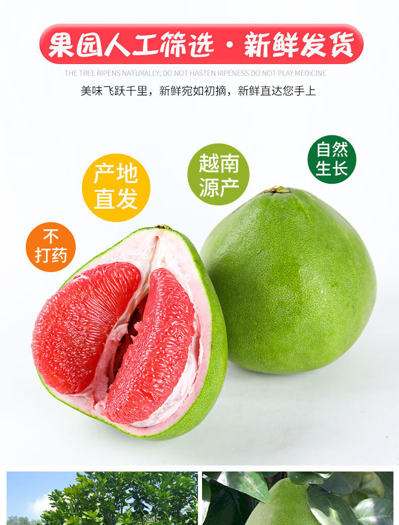 jd物流现发泰国红宝石柚子翡翠红心柚礼盒装单果2428斤1个装