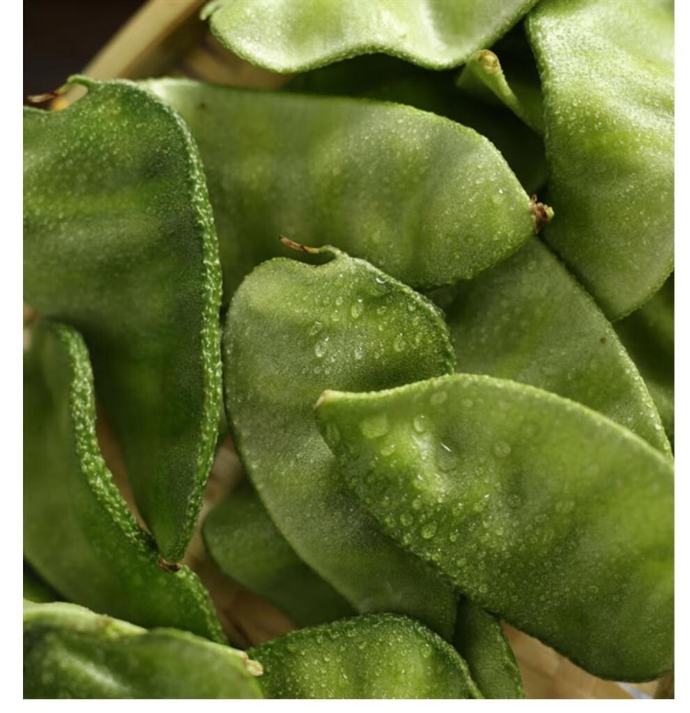 顺丰速发东北气豆角片刀农家扁豆绿眉梅豆汽豆猪耳朵新鲜蔬菜顺丰3斤