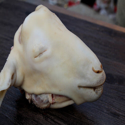 魃鲜 魃鲜 熟羊肉山羊肉熟羊头肉带皮熟羊杂羊脸肉500g带皮熟羊肉带皮