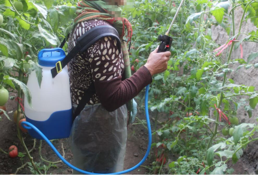 电动喷花授粉器番茄电动喷花授粉器点花神器大棚樱桃喷花器黄瓜沾花器