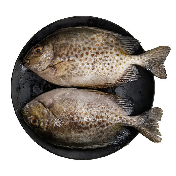 新鲜花泥猛鱼5斤海捕新鲜急冻锁鲜水产半斤肉厚鲜嫩营养爱吃 5斤(共4