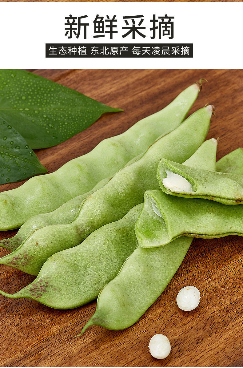 东北豆角油豆角新鲜蔬菜九月青一点红油豆角面豆角开锅烂多省3斤油