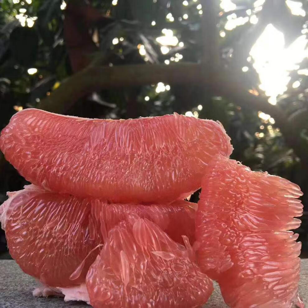 海南三红蜜柚9斤新鲜孕妇水果红蜜柚当季大红肉柚子现摘红柚中秋礼盒