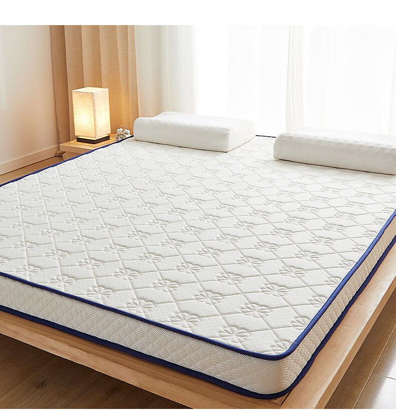 新款乳胶床垫加厚软垫家用榻榻米垫子租房专用可折叠双人床海绵垫褥