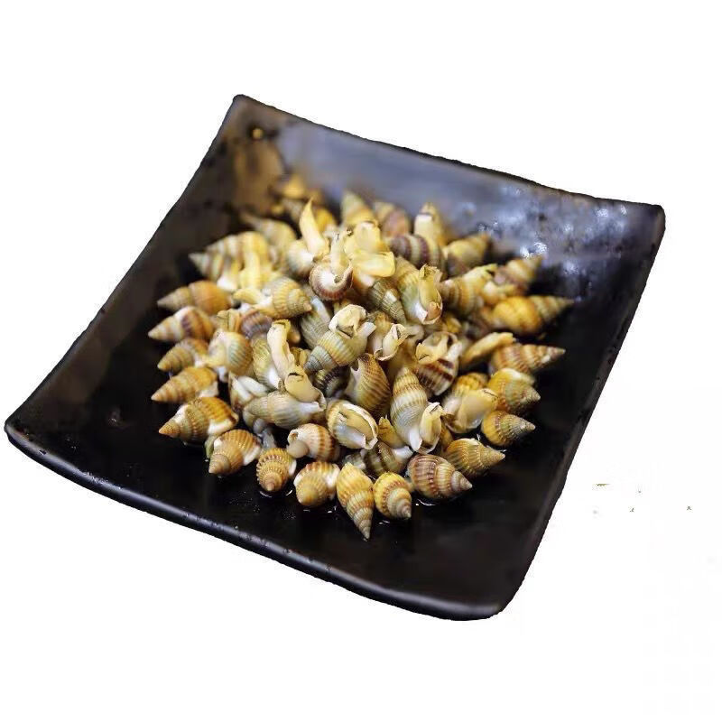 鲜活速冻尖螺海螺丝冷冻海锥烧烤夜宵海鲜桃西村坏单包赔赠品不做发货