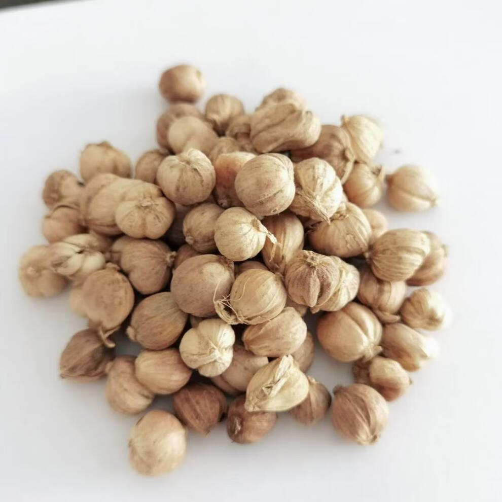 广西特产精选白扣 足干500g1斤装 精选广西白扣