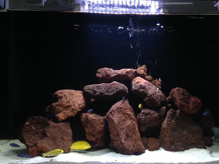 鱼缸造景火山石大块装饰假山原石红色火山岩水草莫斯草缸石头铺底火山