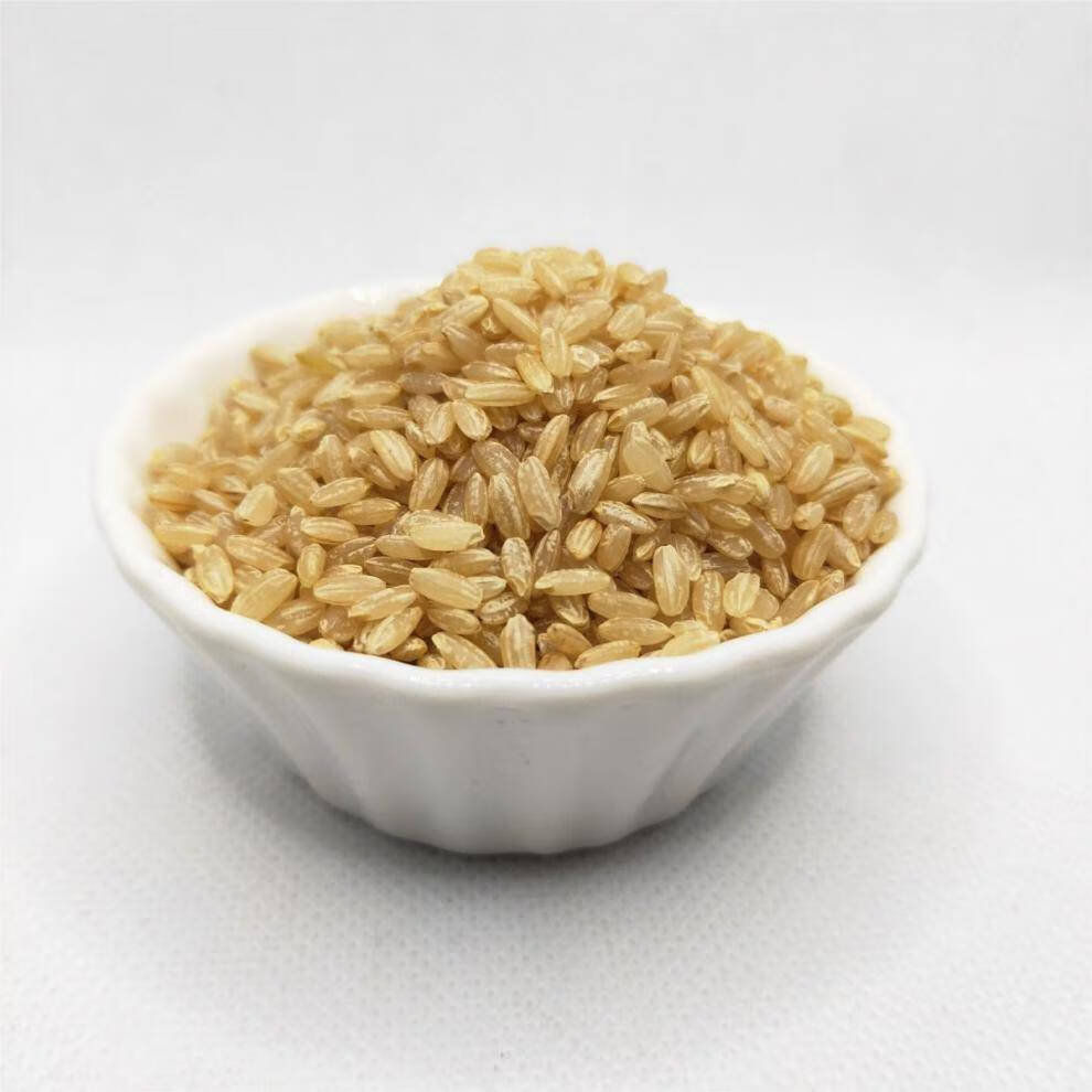 新米5斤装糙米东北胚芽米粗粮芽米五谷杂粮a1 10斤实惠装