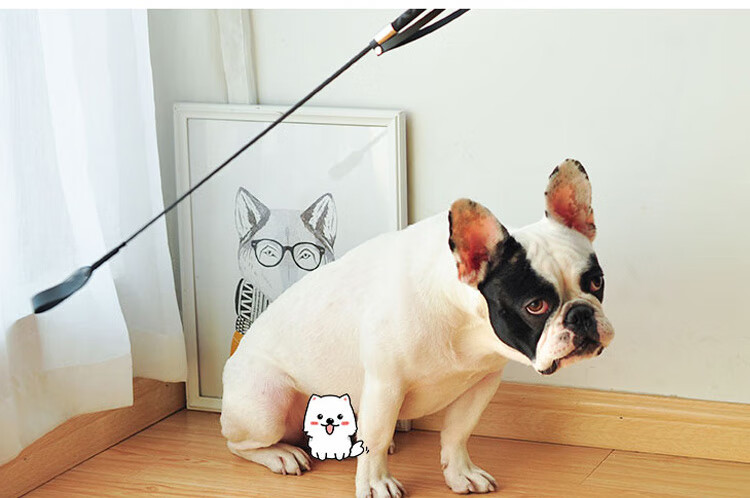 飞之厨训狗鞭打狗棍训犬棒宠物爱心拍训狗鞭犬鞭响鞭驯狗器训练器击打