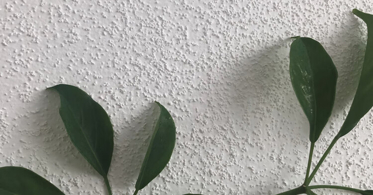 凯睿(kairui)质感砂料颗粒墙面艺术涂料漆白色水性防水服装店内外墙滚