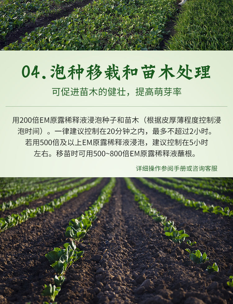 em菌种种植专用em菌种植专用em复合原液菌液原露兰花菌种堆肥发酵养花