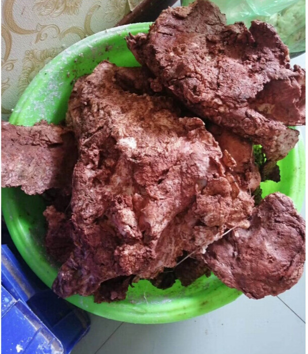 伟博太岁老店长白山纯野生整体千年活体石太岁太岁肉灵芝泡水养生