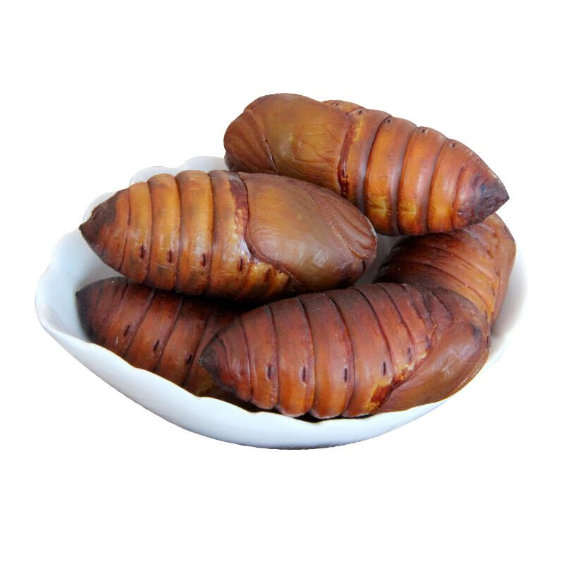 德祥隆东北特产柞蚕蛹新鲜鲜活大蝉蛹活体a级黄将军茧蛹子500g