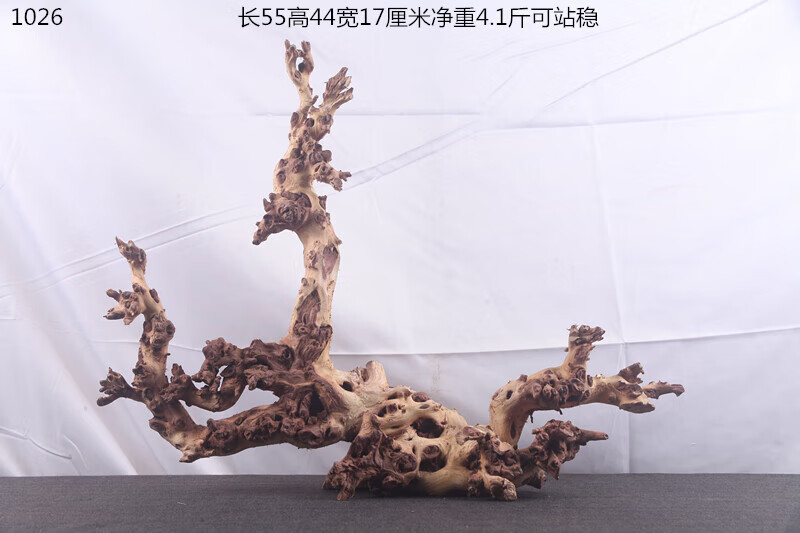 cc81e86a46a33e02.jpg