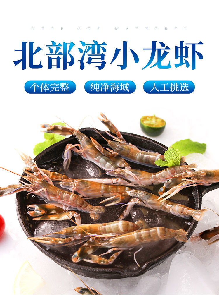 北海天然小龙虾夹板海水虾狗虾新鲜鲜活海龙虾冰鲜海鲜水产品批发二三