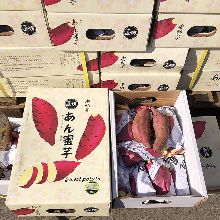 贝娇芬 日本安纳芋红薯板栗地瓜番薯烤蒸进口品种黄壤粉面甜糯5斤礼盒