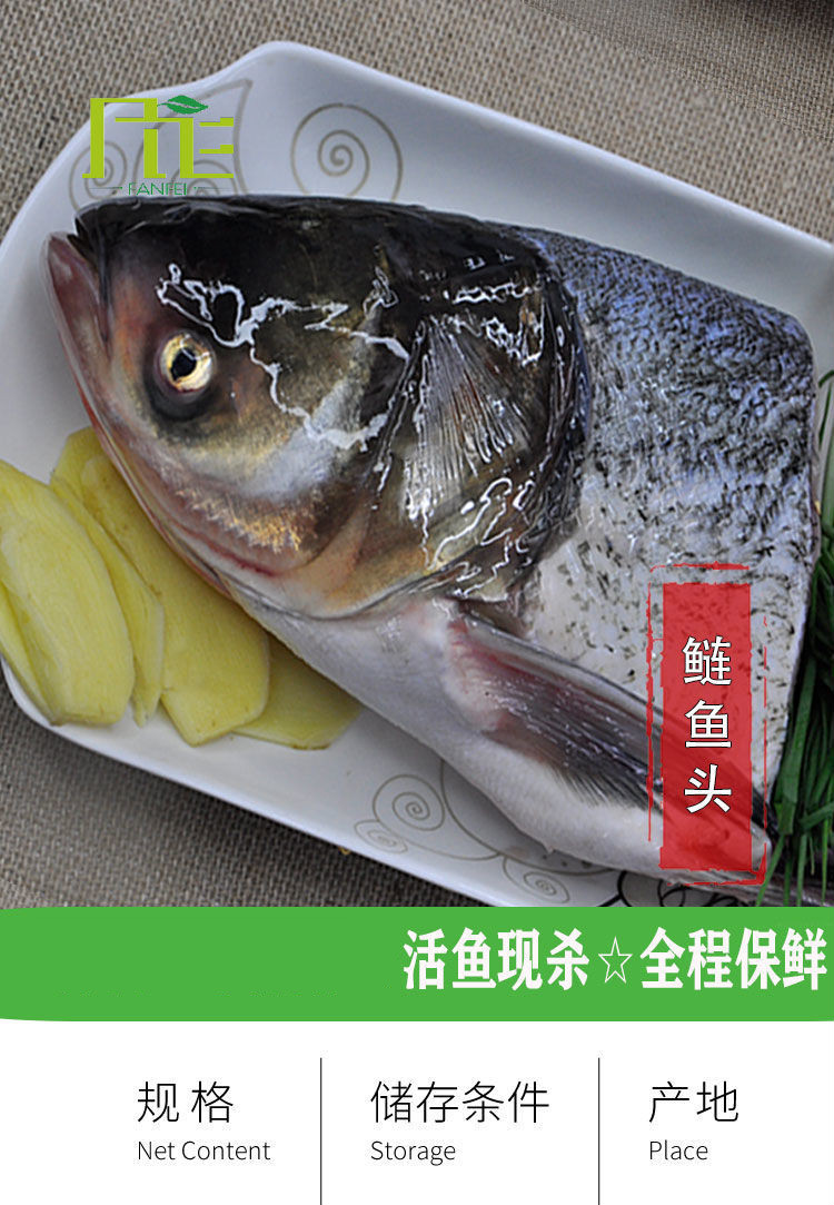 新鮮大鰱魚頭活魚現殺溱湖生態白鰱魚淡水魚類大頭魚剁椒魚頭燉湯 港