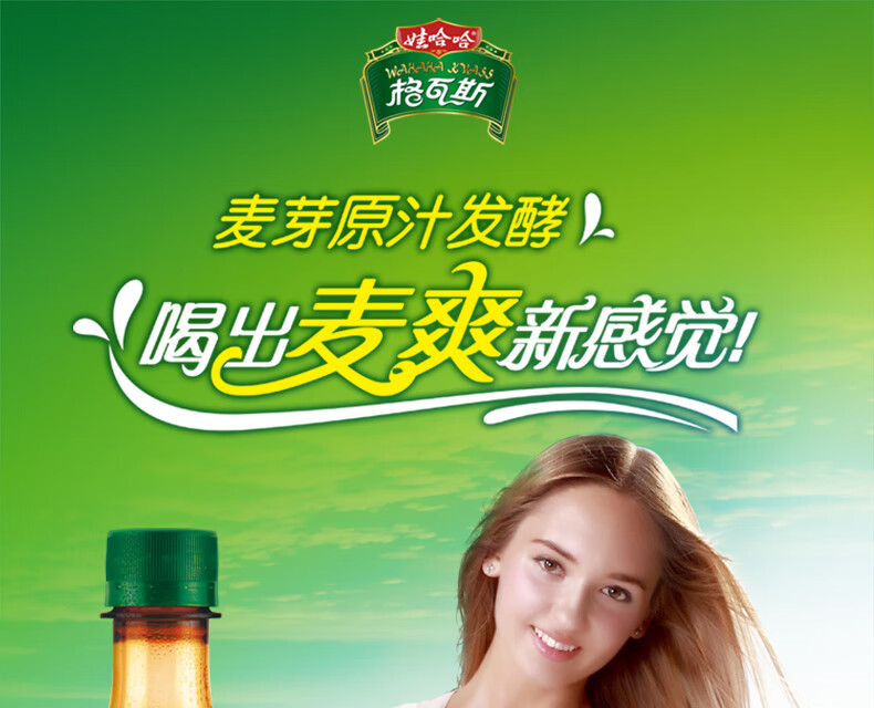 格瓦斯发酵饮品碳酸饮料麦芽330ml*15瓶风味饮料整箱 格瓦斯330ml*15