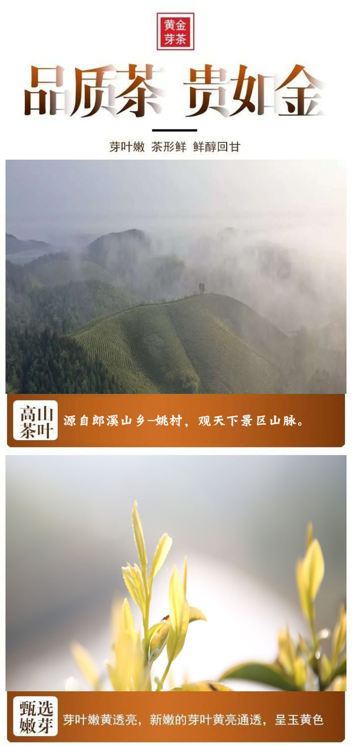 安徽郎溪黄金芽新茶特产雨前珍稀白茶黄金绿茶叶a50克铁盒装